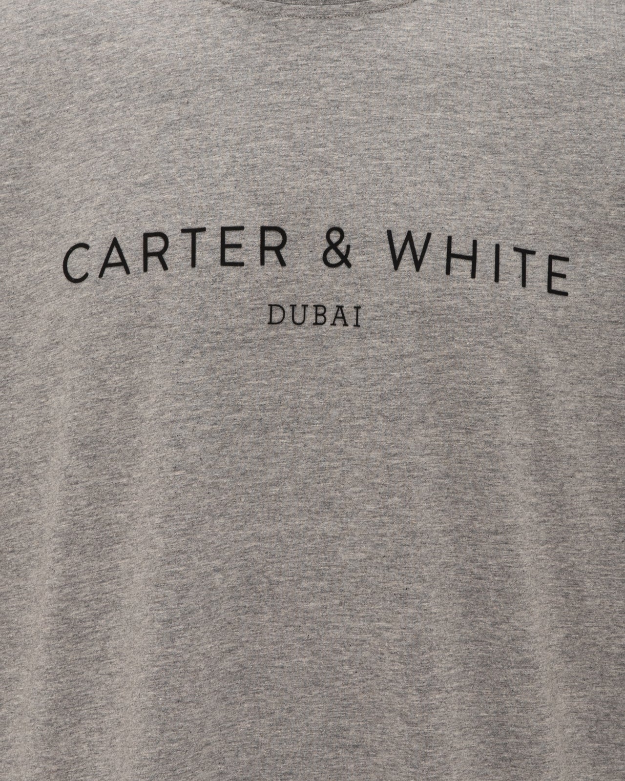 Men Siddy Round Neck Half Sleeve Logo T-Shirt